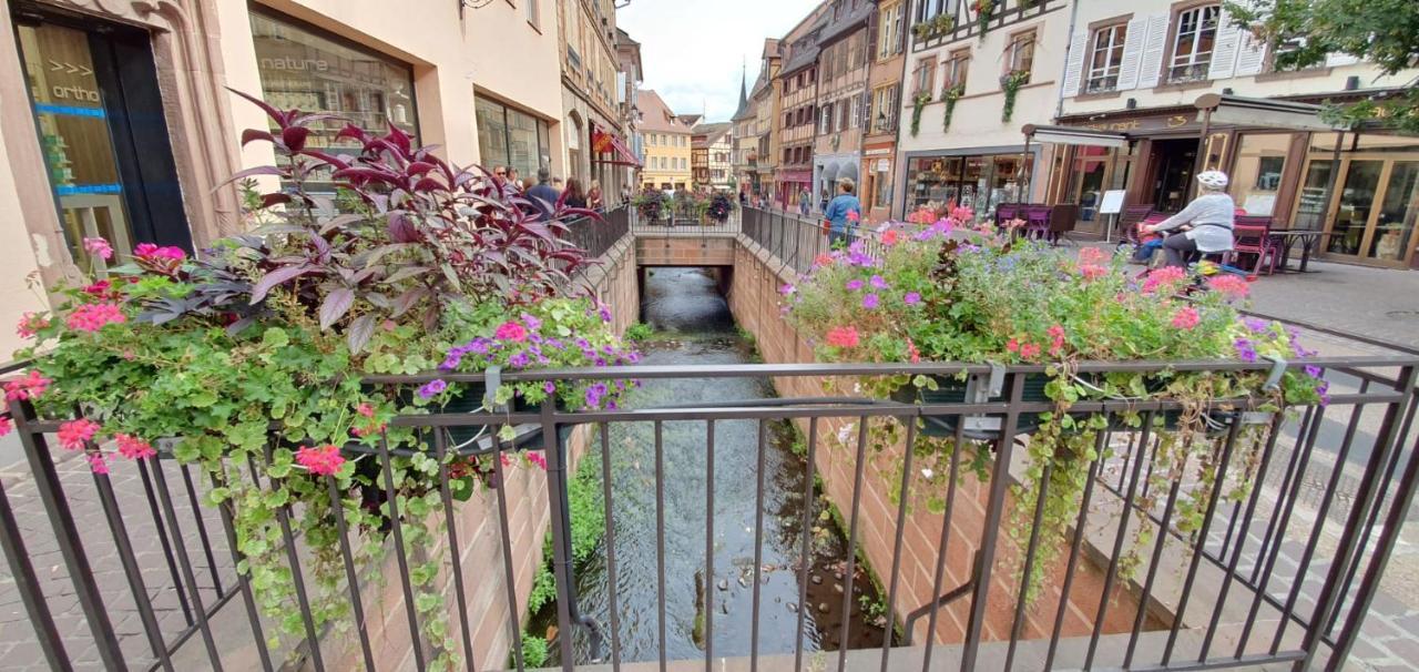Le Green St Léon : Lit Queen Size * WIFI * Idéal Couple Colmar Extérieur photo