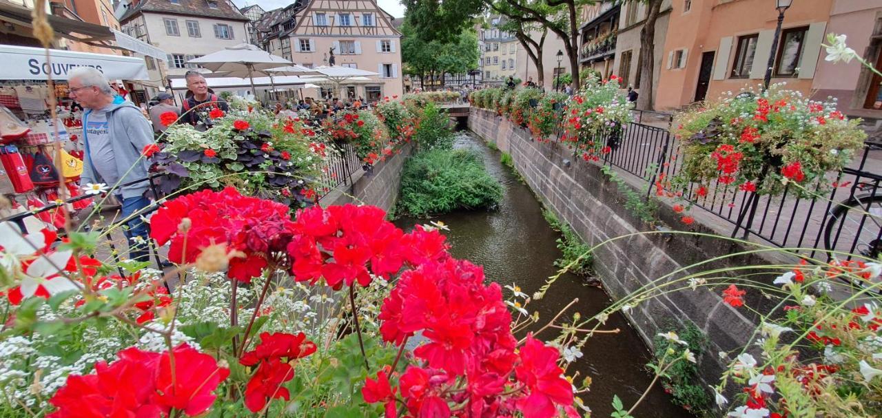 Le Green St Léon : Lit Queen Size * WIFI * Idéal Couple Colmar Extérieur photo