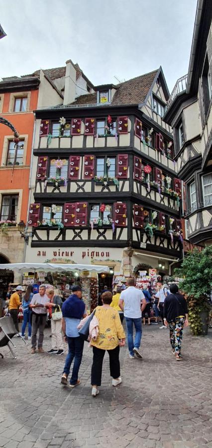 Le Green St Léon : Lit Queen Size * WIFI * Idéal Couple Colmar Extérieur photo