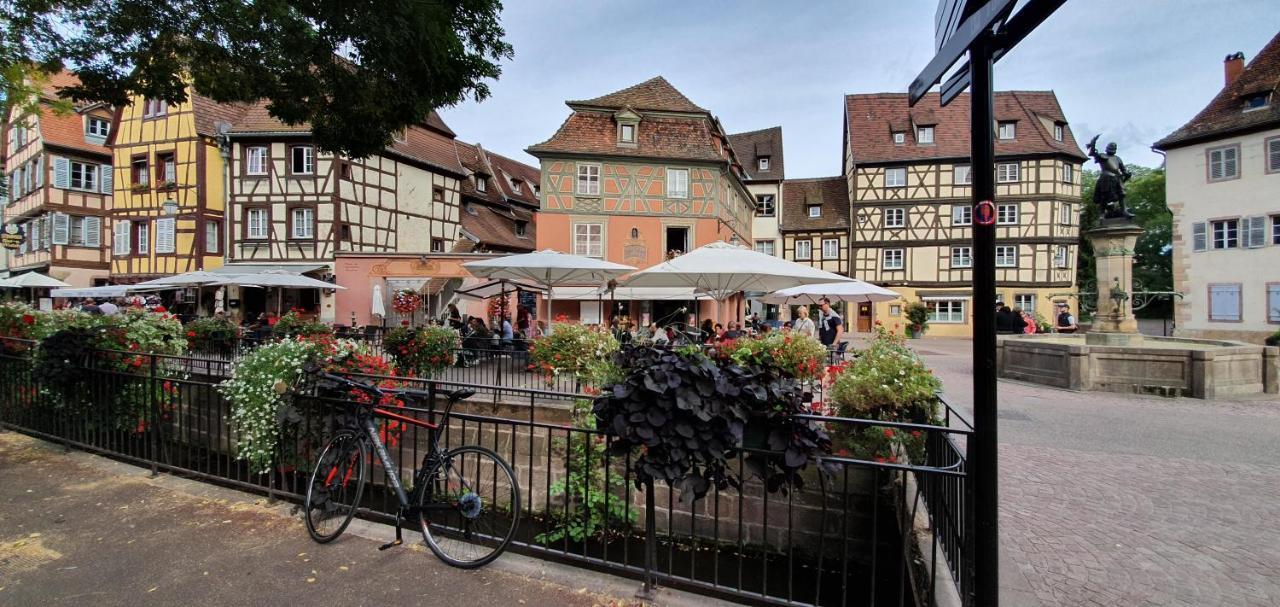Le Green St Léon : Lit Queen Size * WIFI * Idéal Couple Colmar Extérieur photo